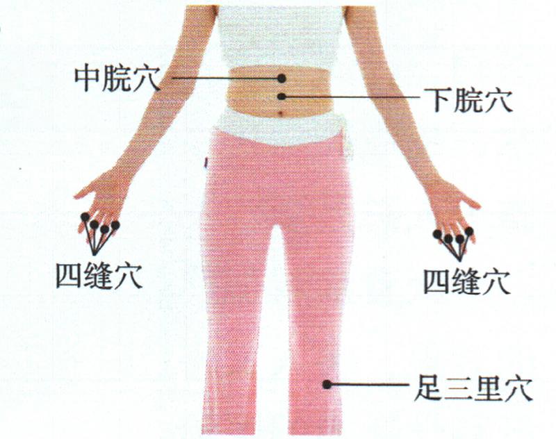 按摩足三里穴、四縫穴、中脘穴，促進(jìn)吸收增點(diǎn)肉