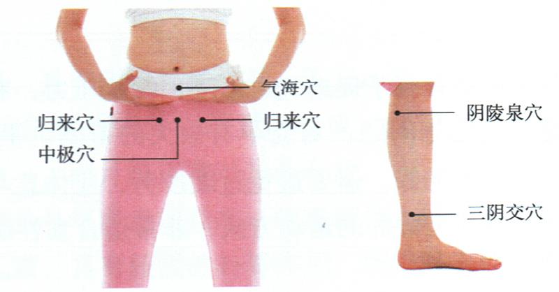 按摩歸來穴、中極穴等，健脾調經更助孕